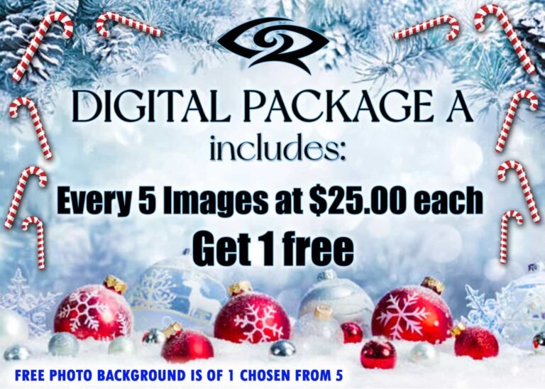 Digital Package A