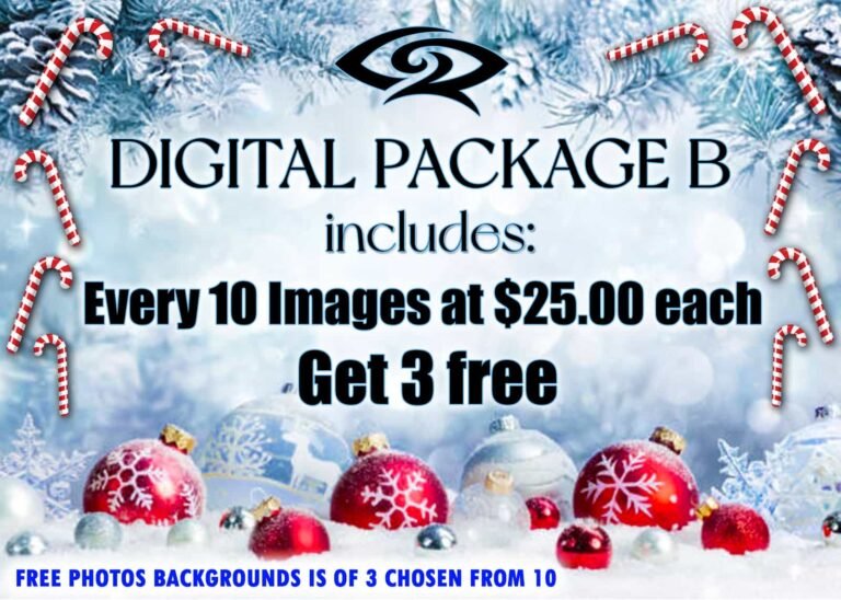 Digital Package B