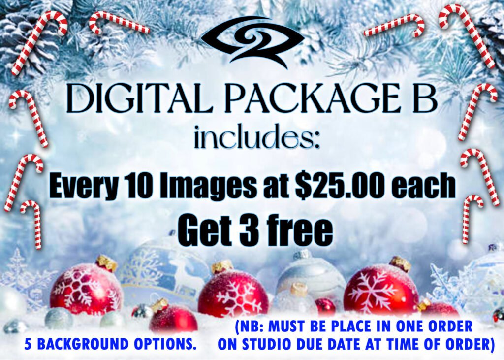 Digital Package B